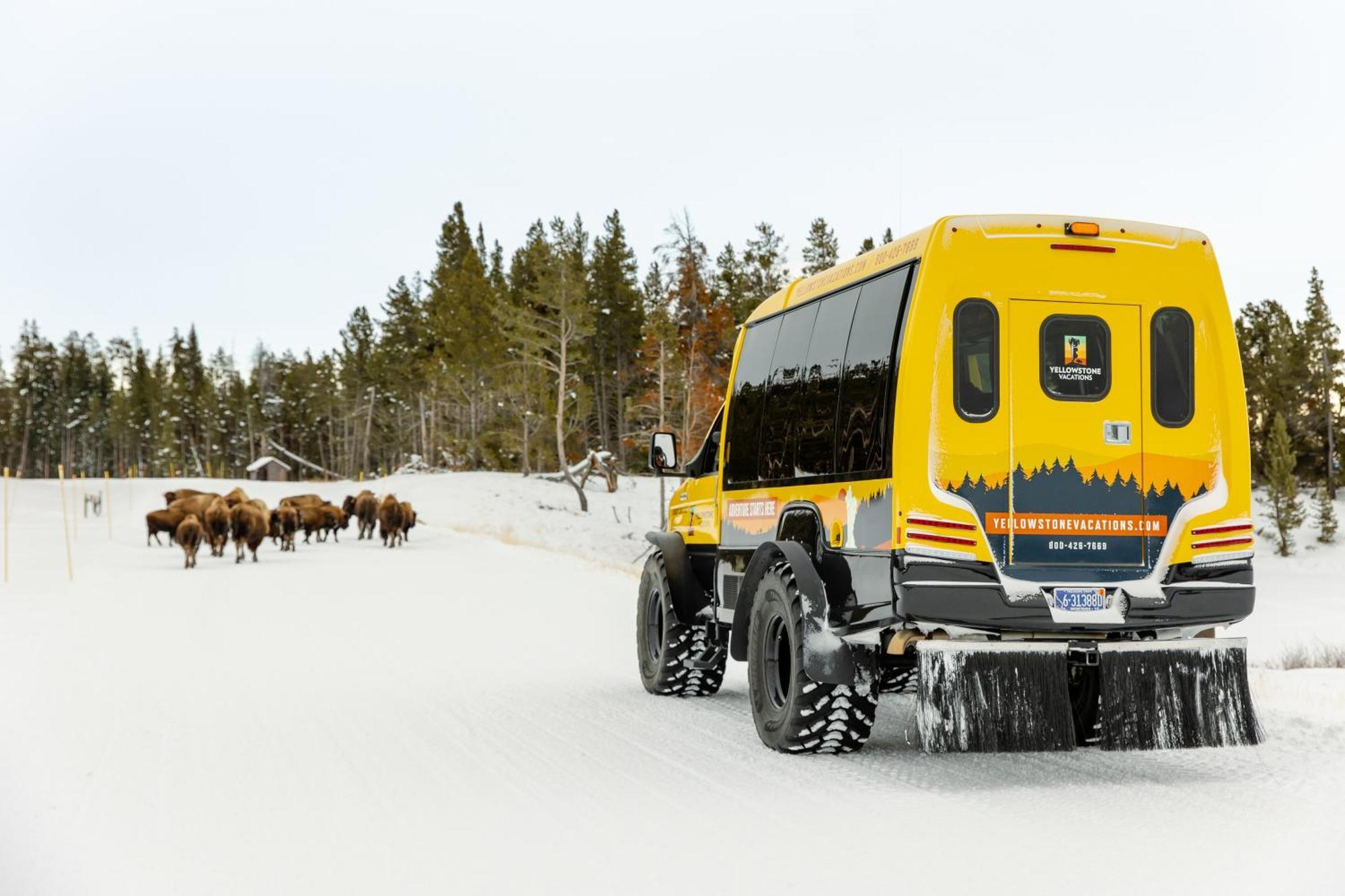 Explorer At Yellowstone Lodge