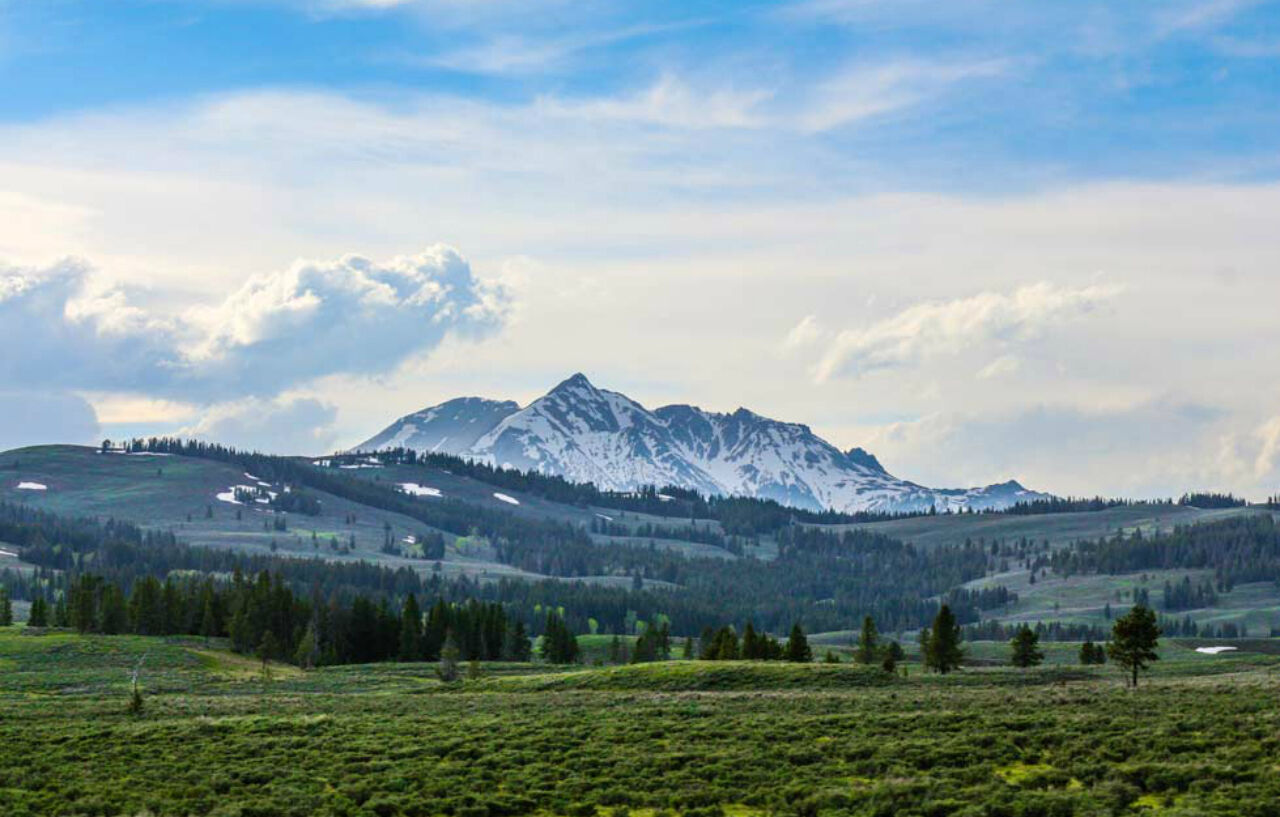 Explorer At Yellowstone *